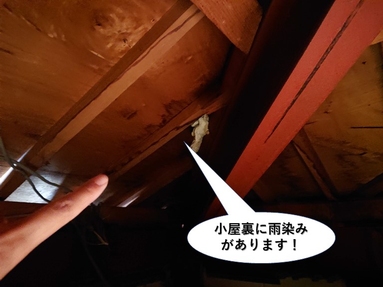 岸和田市の小屋裏に雨染みがあります