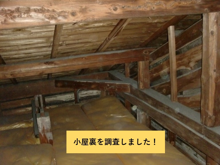 忠岡町の小屋裏を調査