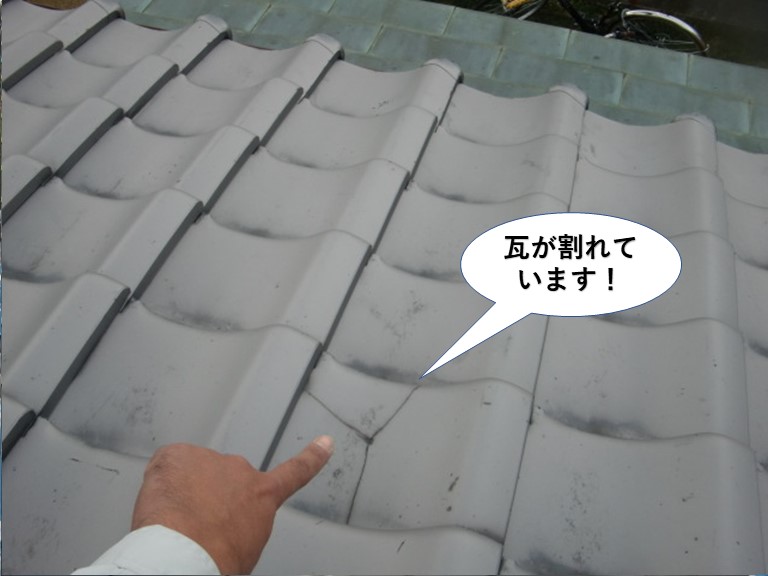 岸和田市の瓦が割れています！