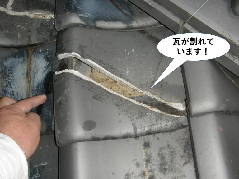 熊取町の下屋の瓦が割れています！