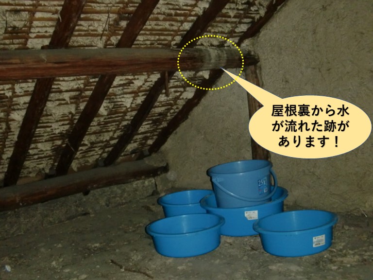 貝塚市の屋根裏から水が流れた跡があります