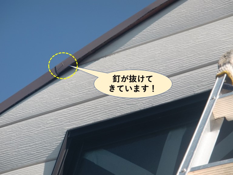 泉大津市の板金を留めている釘が抜けてきています