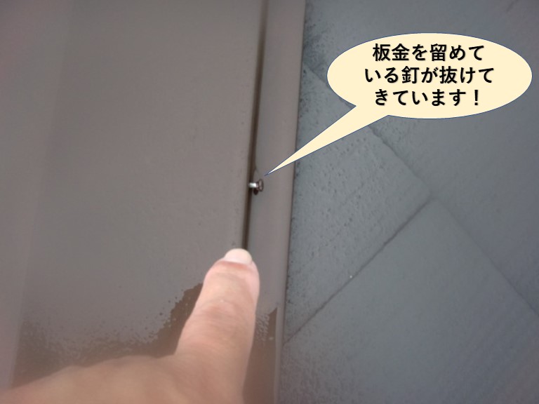 岸和田市の板金を留めている釘が抜けてきています