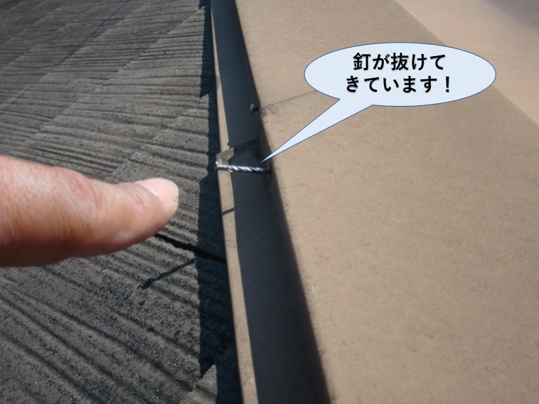 高石市の板金を留めている釘が抜けてきています
