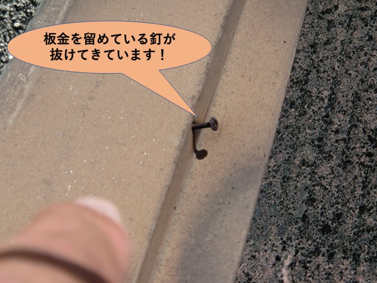 岸和田市の板金を留めている釘が抜けてきています