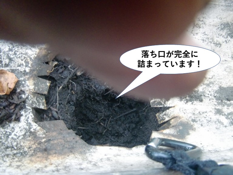 泉大津市の樋の落ち口が完全に詰まっています