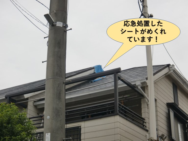 貝塚市の応急処置したシートがめくれています