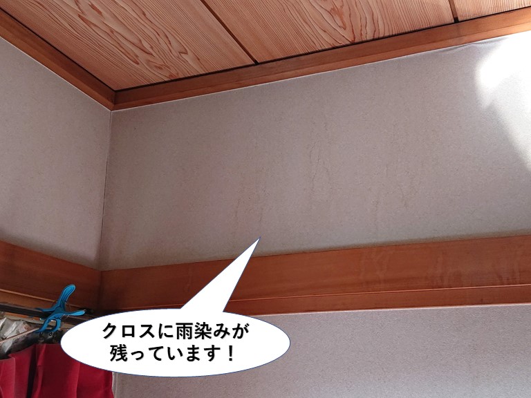 熊取町のクロスに雨染みが残っています