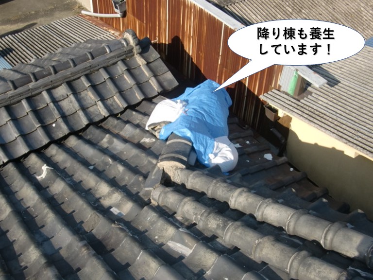 和泉市の降り棟も養生しています