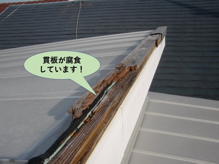貝塚市の棟の貫板が腐食しています