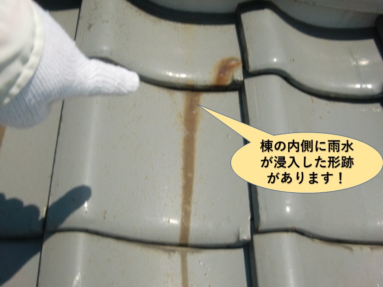 高石市の棟の内側に雨水が浸入