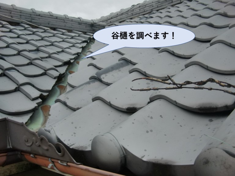 泉南市樽井の屋根の谷樋調査