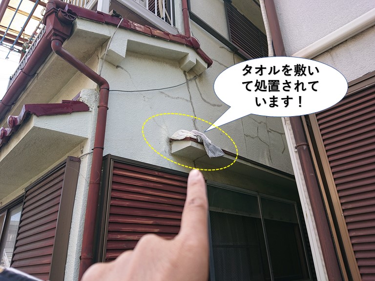 岸和田市の庇にタオルを敷いて処置されています