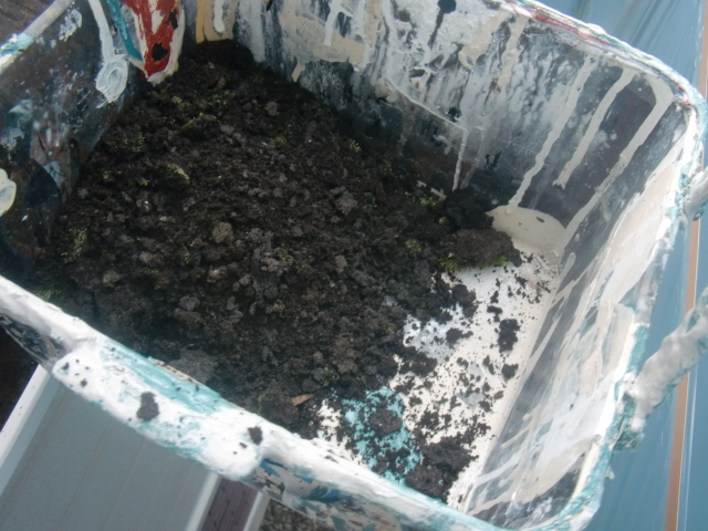 岸和田市包近町で清掃後にでた大量のゴミ