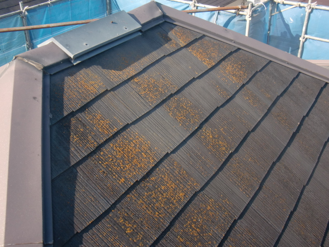 岸和田市包近町の苔のついたカラーベストの状態