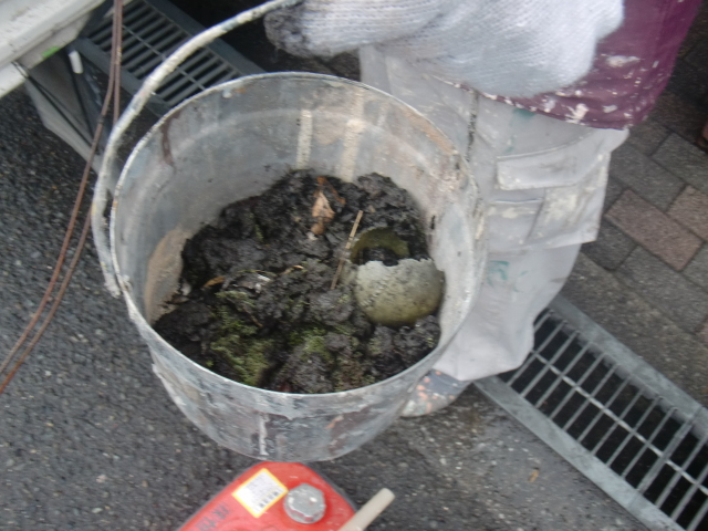 岸和田市包近町のカーポート雨樋清掃後のゴミ