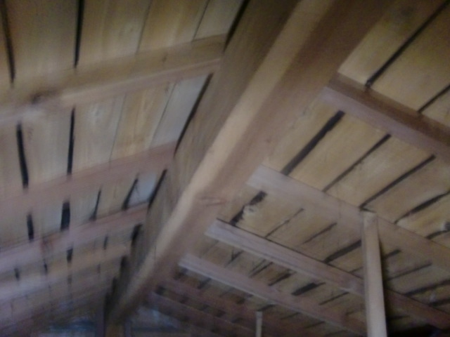 岸和田市流木町の雨漏り調査で小屋裏調査中