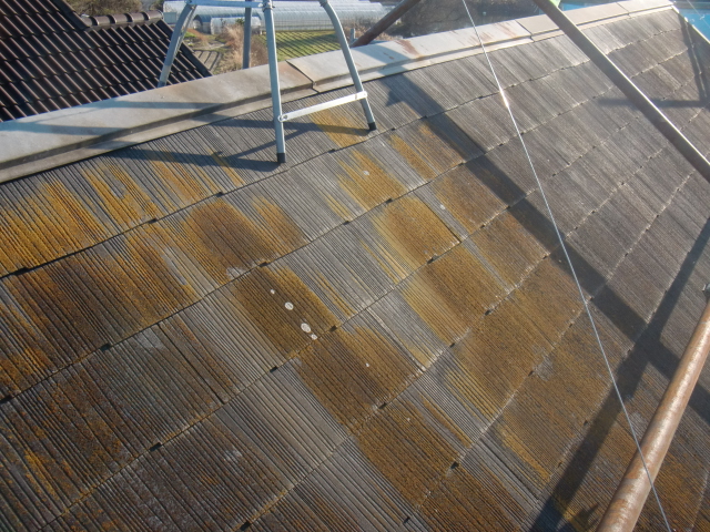 岸和田市下松町の屋根の苔現況