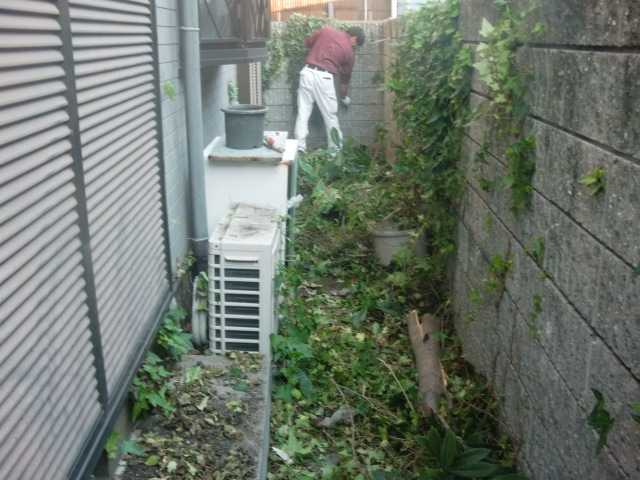 和泉市の外構周りの草引き開始