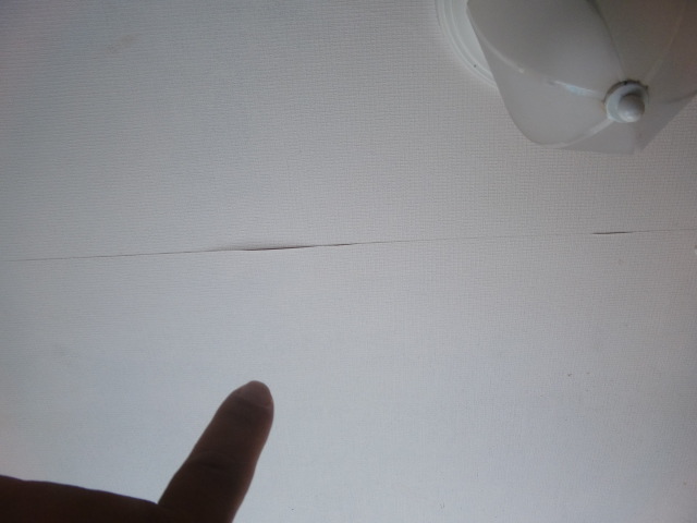 岸和田市池尻町の雨漏り調査