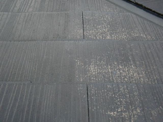 岸和田市尾生町の苔が生えた屋根高圧洗浄