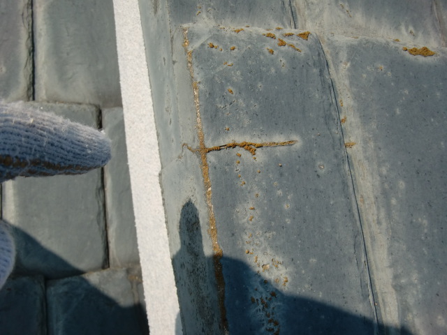 和歌山市善明寺の割れたセメント瓦