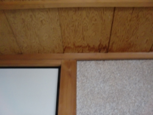 岸和田市土生町の和室の雨漏り