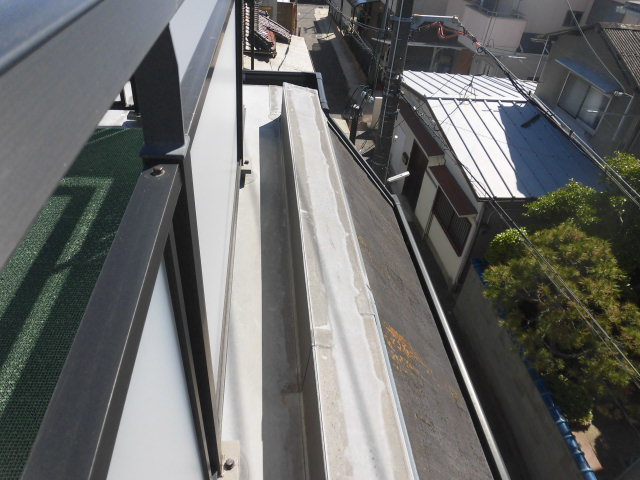 高石市の庇の屋根に苔発生