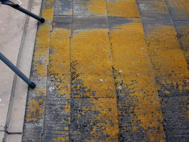 岸和田市極楽寺町の屋根コケ状況