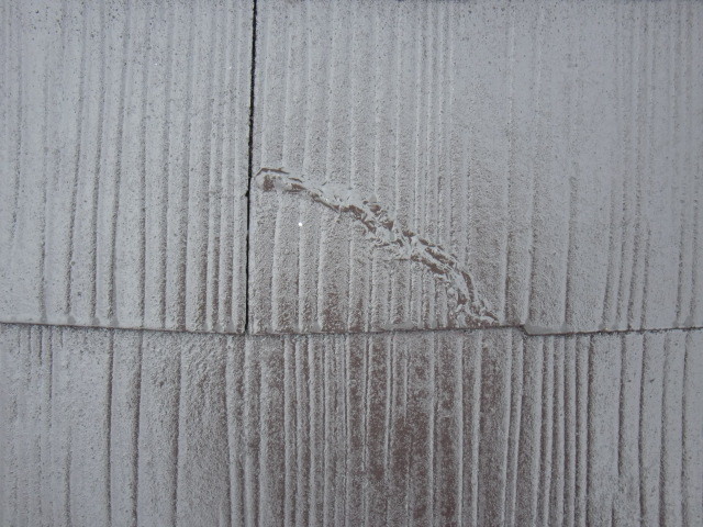 岸和田市極楽寺町のカビ除去もした外壁と屋根塗装完成