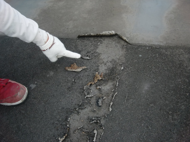 岸和田市の倉庫の雨漏り現地調査中