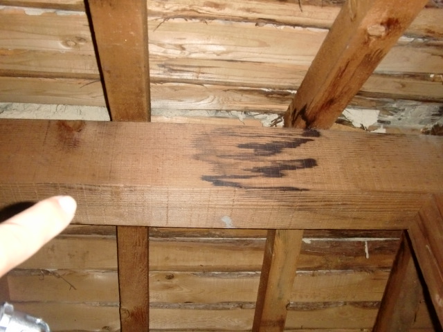 貝塚市の小屋裏の雨漏り状況