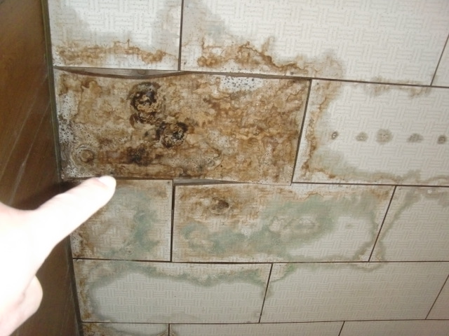 泉大津市の玄関天井の雨漏り