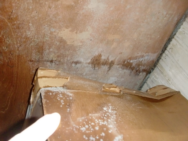 泉大津市の押し入れの中の雨漏り