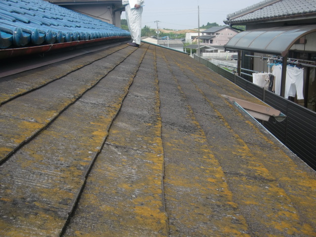岸和田市の本宅の屋根現況
