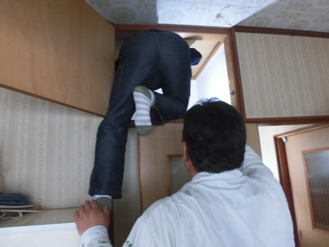 岸和田市流木町の雨漏り調査で小屋裏調査