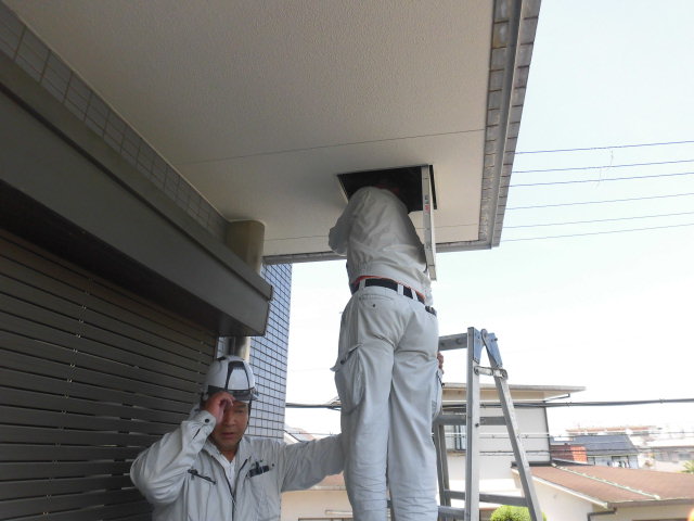 貝塚市の雨漏り散水試験