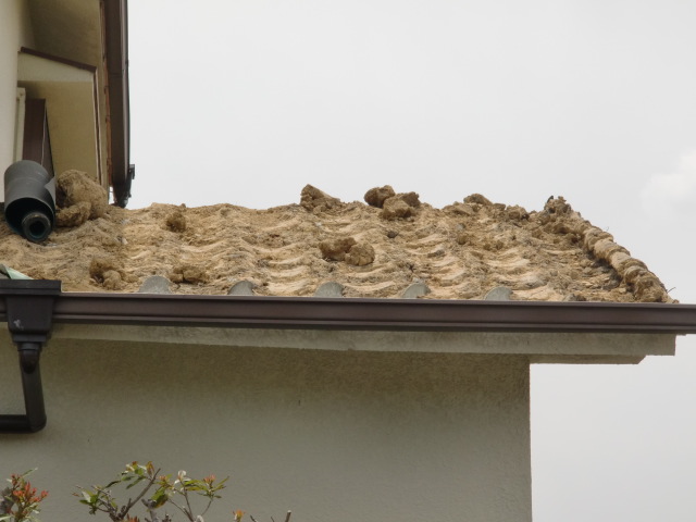 泉南市岡田の屋根の葺き土