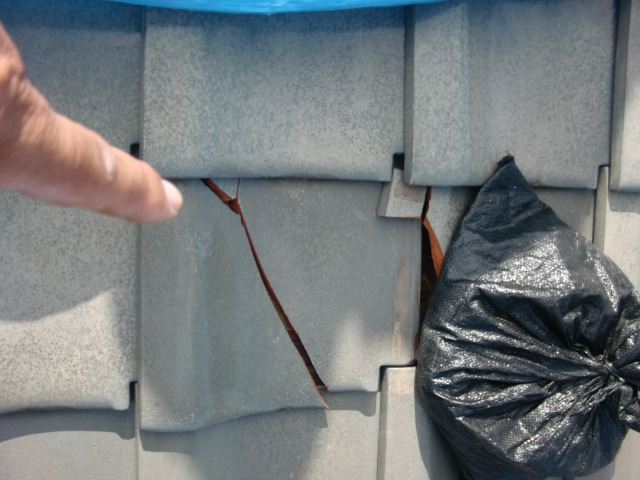 阪南市の瓦が割れて隙間が開いています