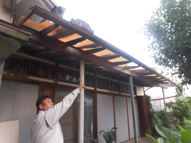 泉南郡熊取町の台風で飛ばされた波板現地調査