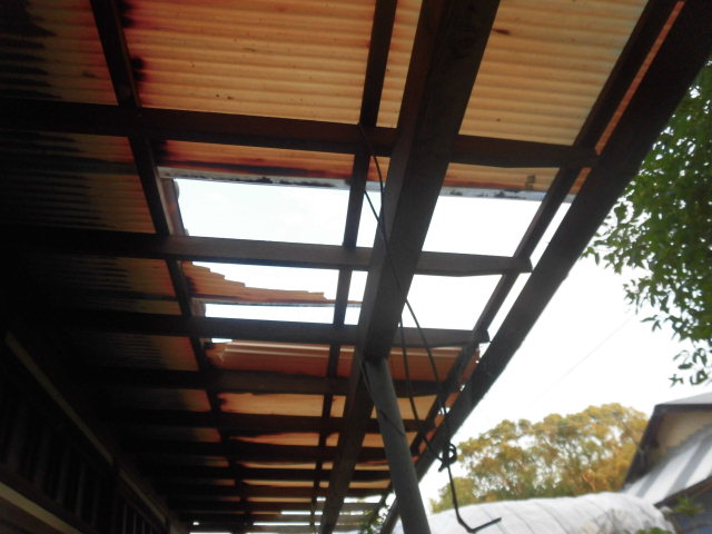 泉南郡熊取町の台風で飛ばされた波板