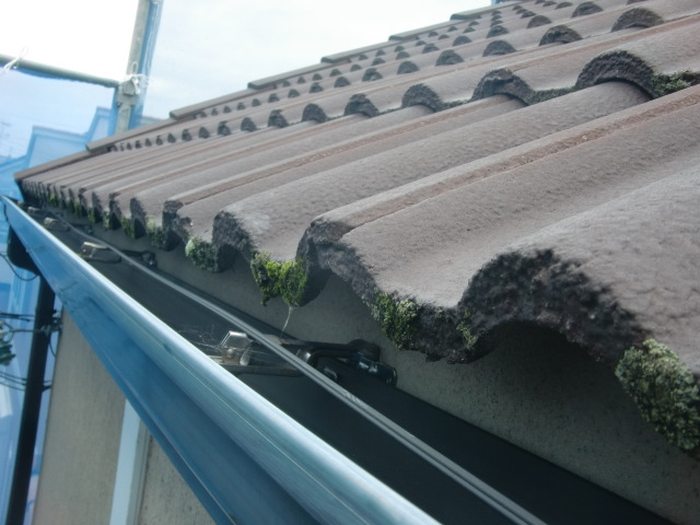 岸和田市西之内町の塗装前のセメント瓦現況