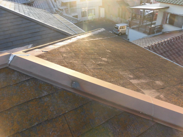 泉大津市の屋根の状態・苔発生