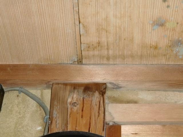 岸和田市土生町の天井の雨漏り調査