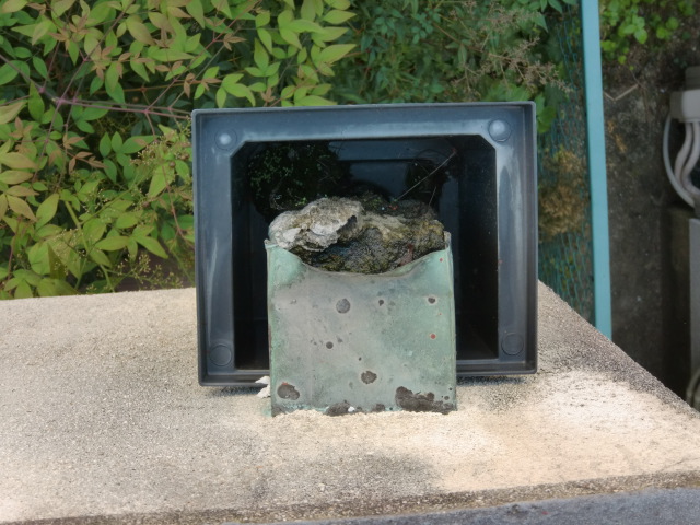 岸和田市土生町のベランダのドレインの外側