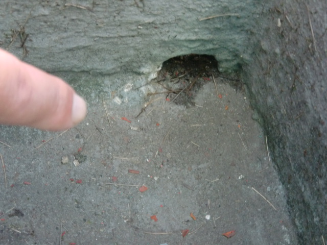 岸和田市土生町のベランダのドレイン