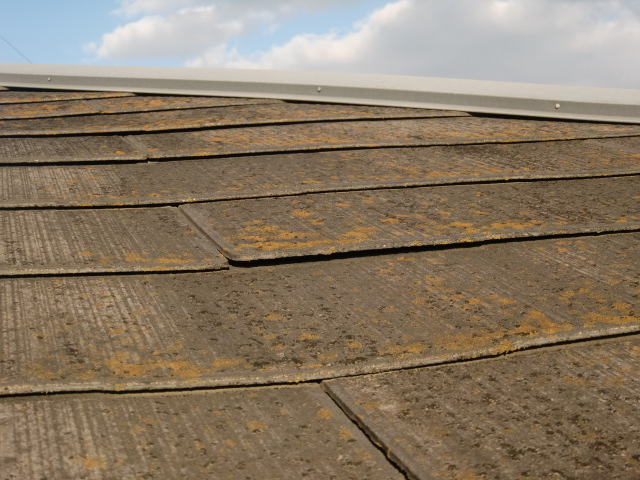 岸和田市紙屋町のスレート屋根の現況