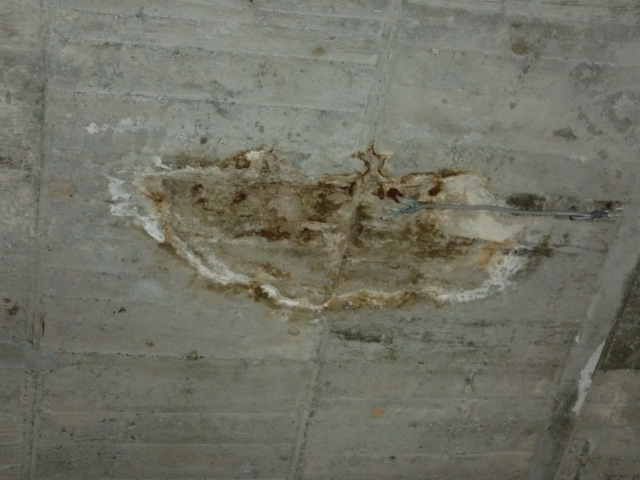 岸和田市の倉庫のスラブ下の雨漏り現調