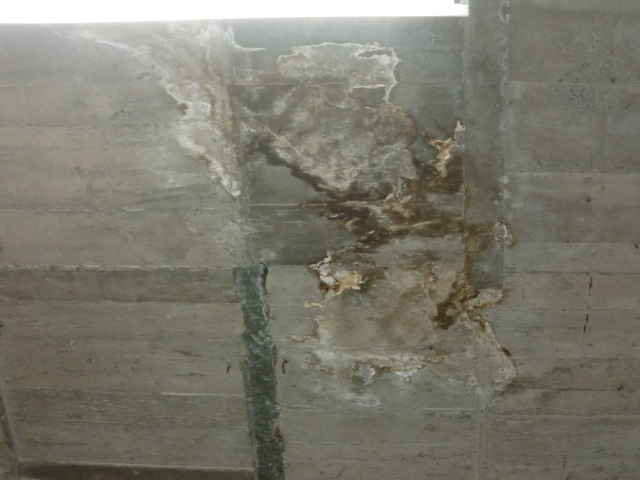 岸和田市の倉庫のスラブ下の天井の雨漏り現調