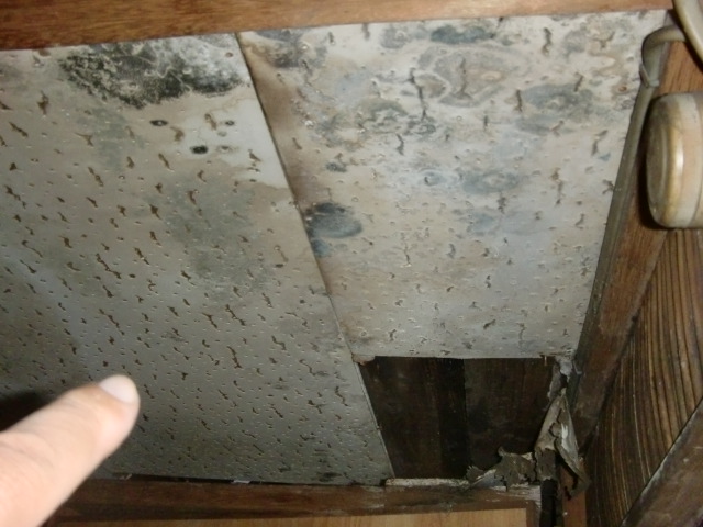 大阪市東住吉区の雨漏りで天井材の劣化